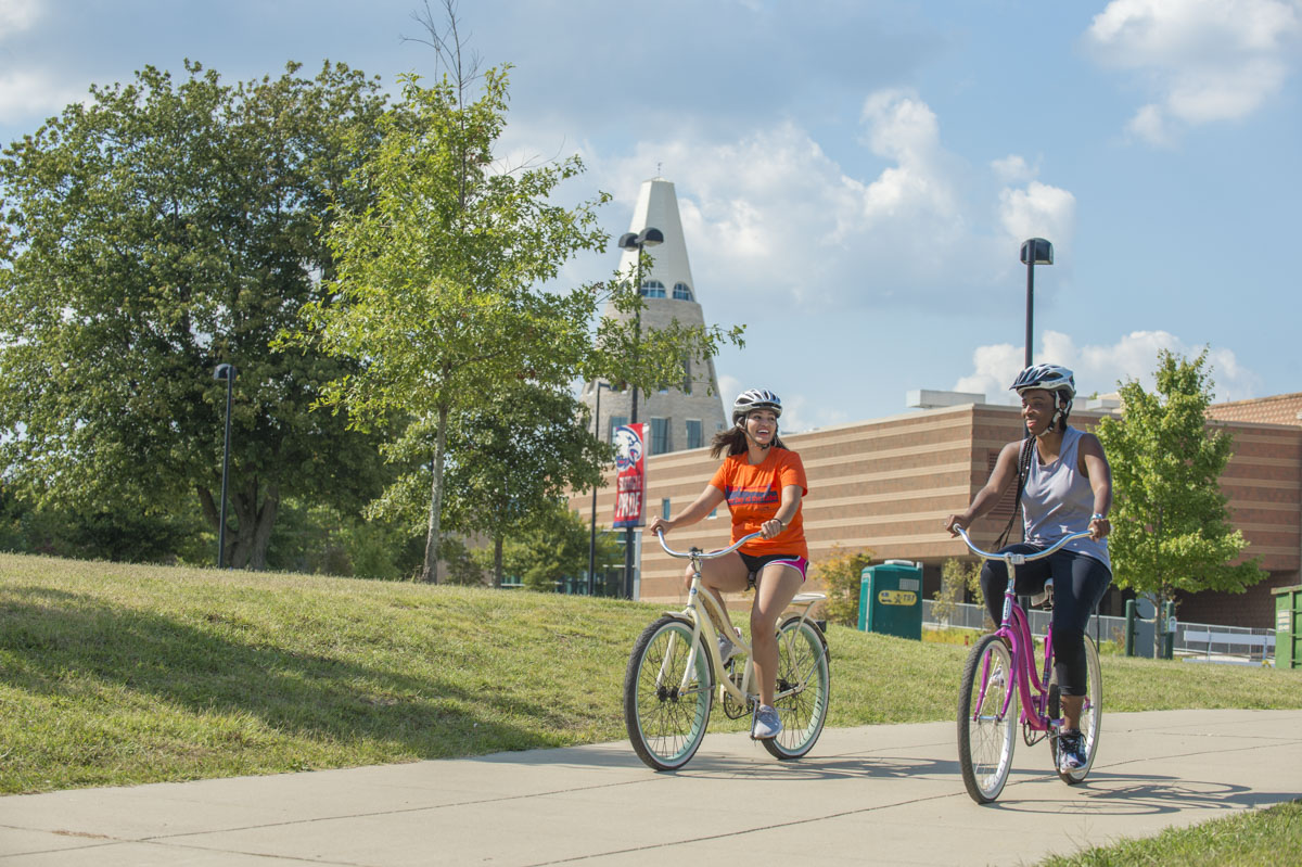 Bike Rental