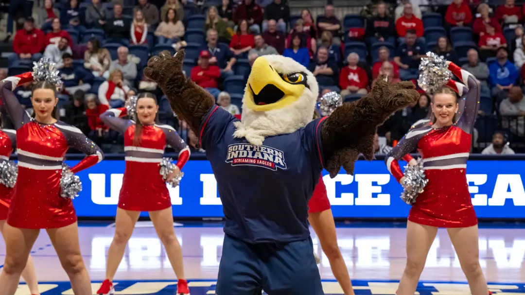 Activities & Traditions