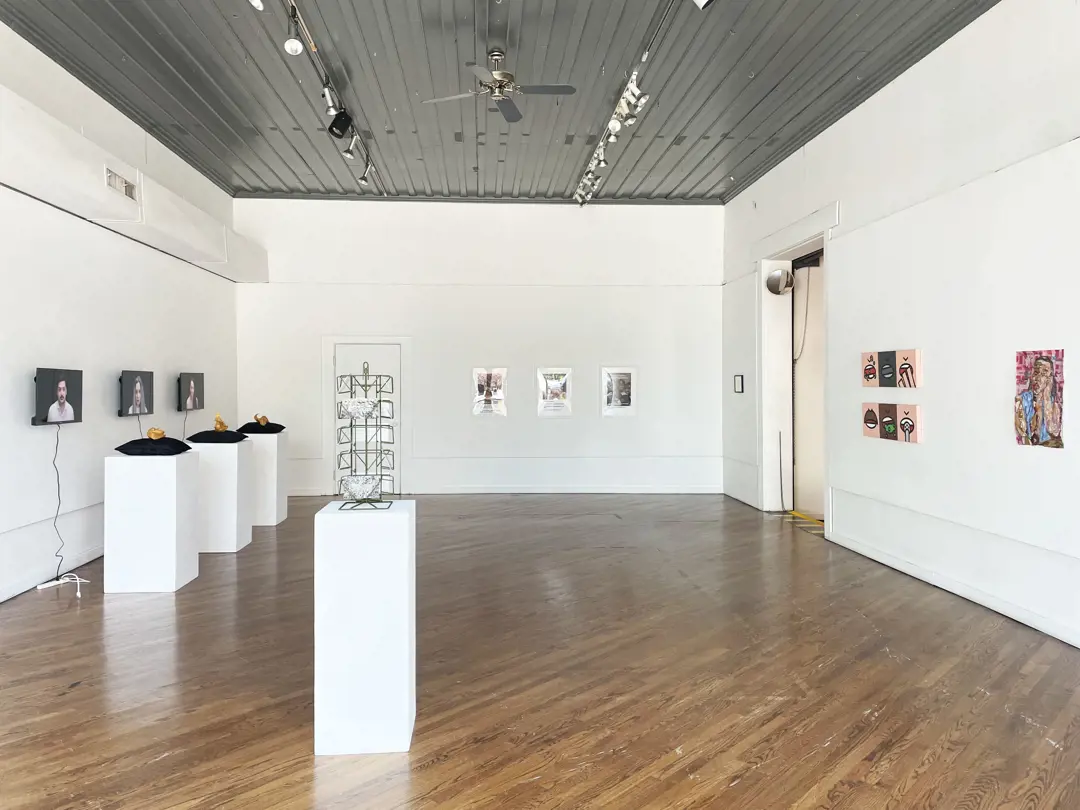 Describing Language: Thinking Through Access and Communication