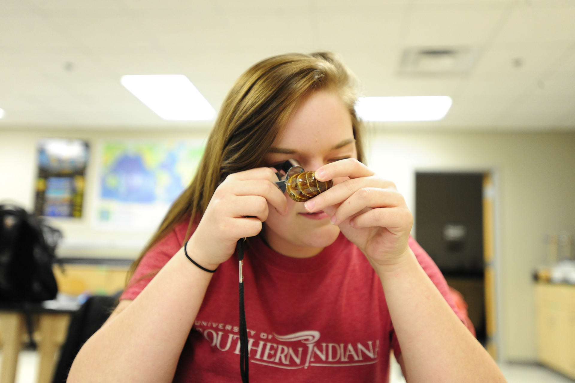 Careers in Environmental Science and Geology - University of Southern  Indiana