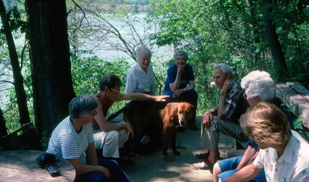 Photographs from the Robert Rosenthal Collection