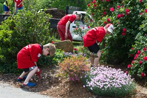 Alumni Spruce Up 0079