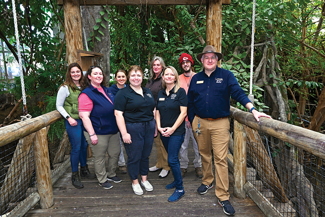 group of people standing on a bridge in a man-made jungle at a zoo