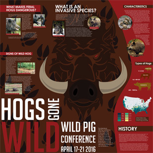 Hogs Gone Wild poster, Faith Connell View Larger