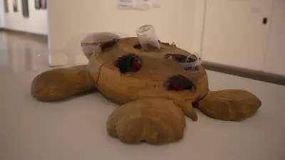 Sculpture of injured turtle