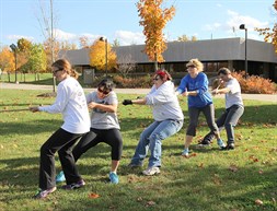 Tug Of War Small