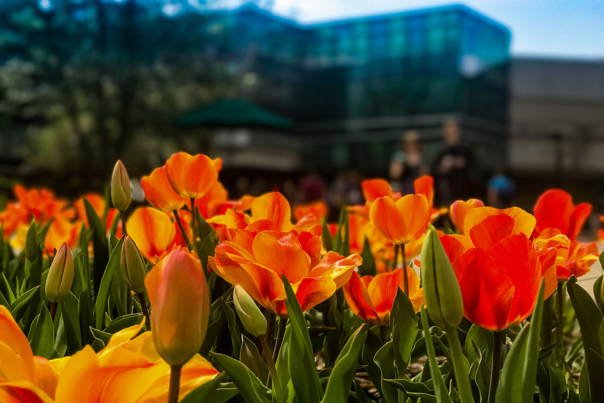 USI approves Spring honorary degree recipients and degree candidates, offers update on Presidential Search  