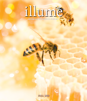 illume fall 2022
