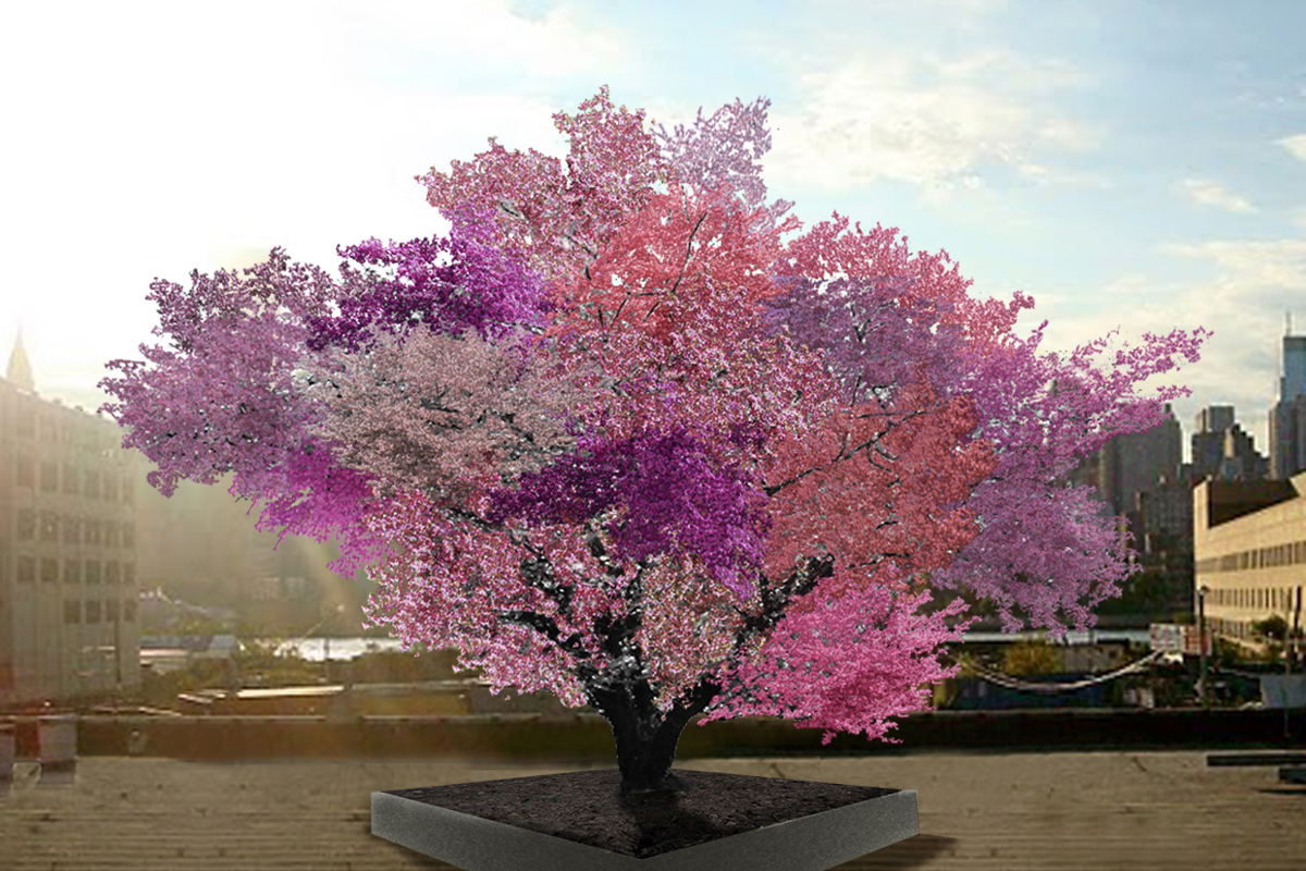 The Tree of 40 Fruit is coming to Historic New Harmony