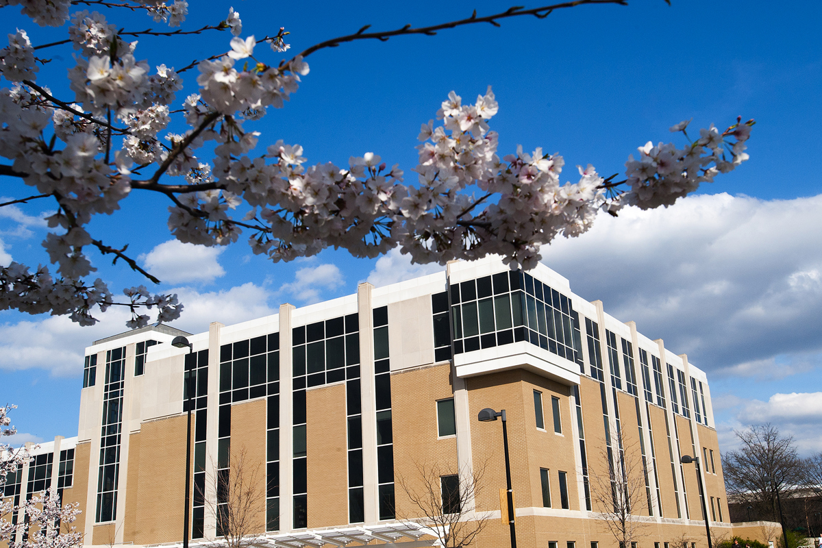 USI Board of Trustees approves Doctor of Education program, honorary degree