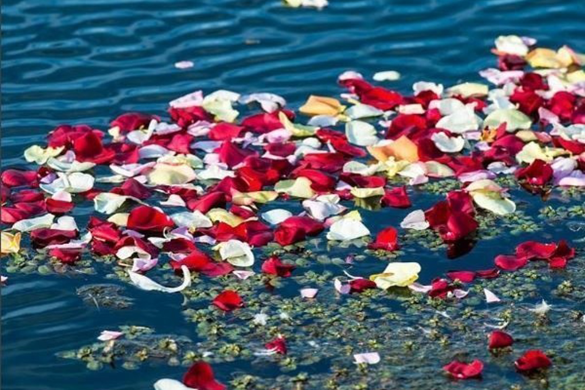 Sixth-annual Flowers on the Lake ceremony to honor victims of domestic violence