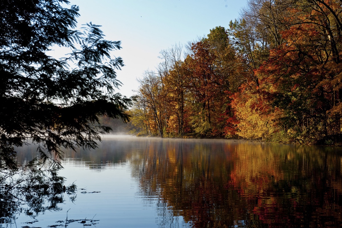 Thanksgiving traditions from the USI faculty and staff