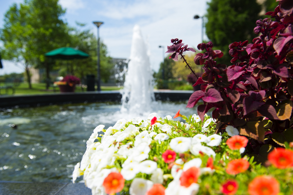 Beauty shot of the UC fountain and flowers 