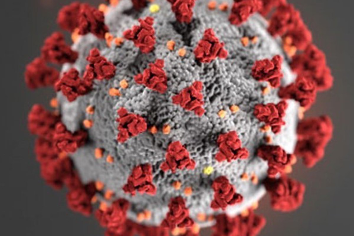 March 12 COVID-19 update