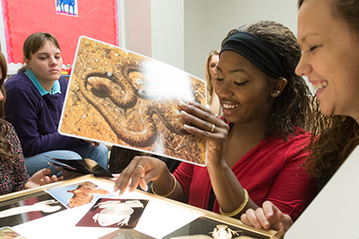 Students in the USI Teacher Education Department