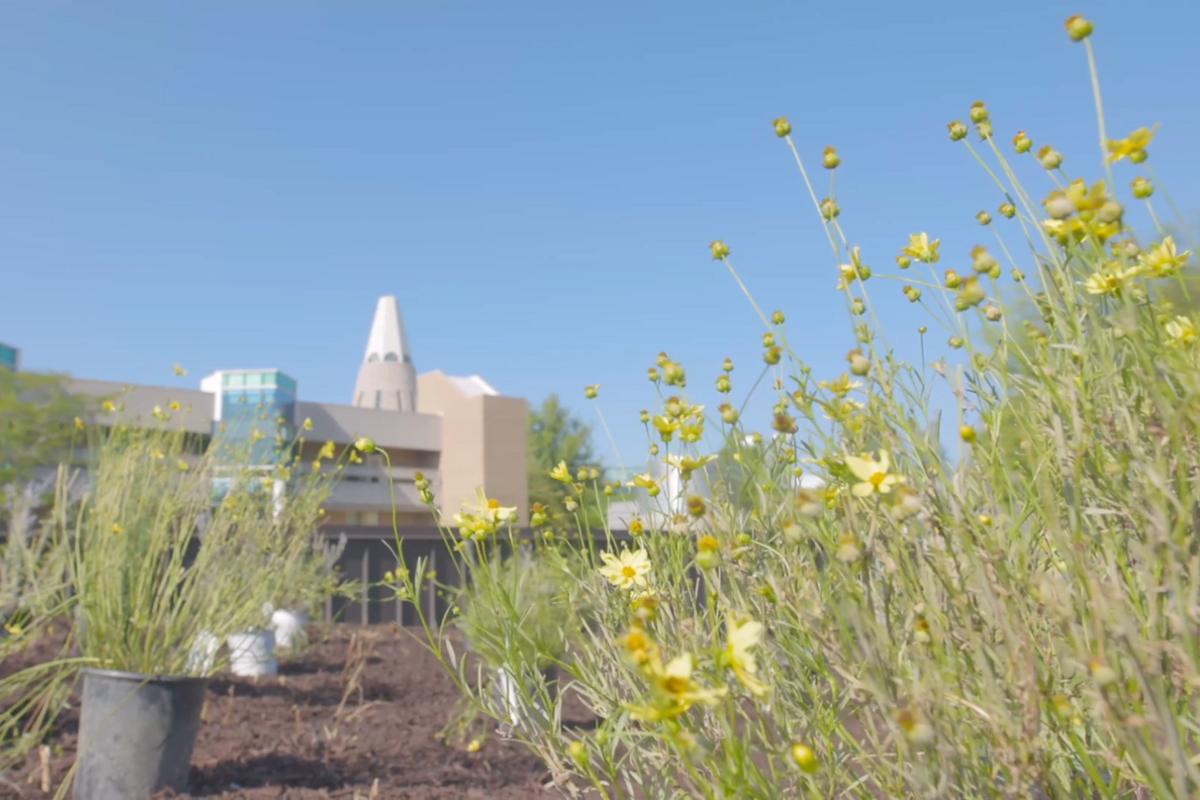 USI recognizes faculty award recipients at Fall Meeting