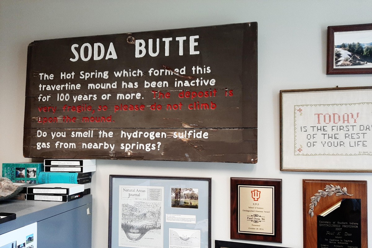 Office Curiosities: Field work