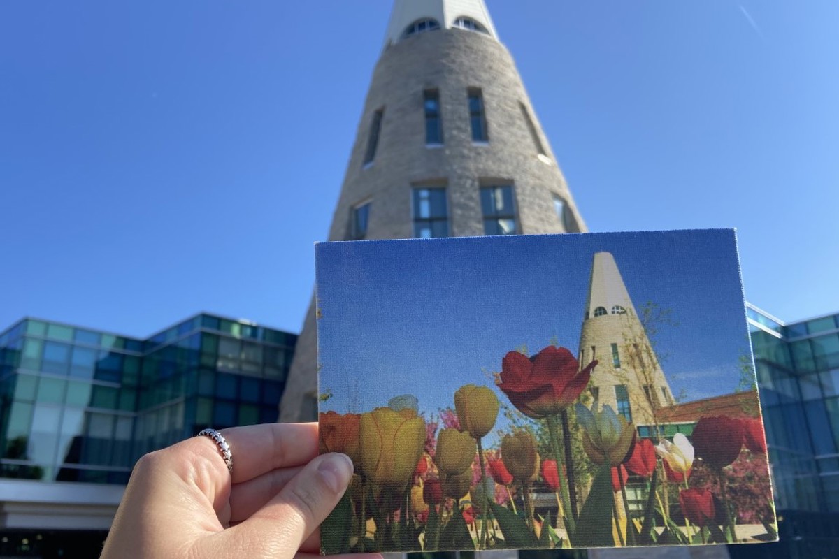 Spring Cone canvas print from flatbed UV printer