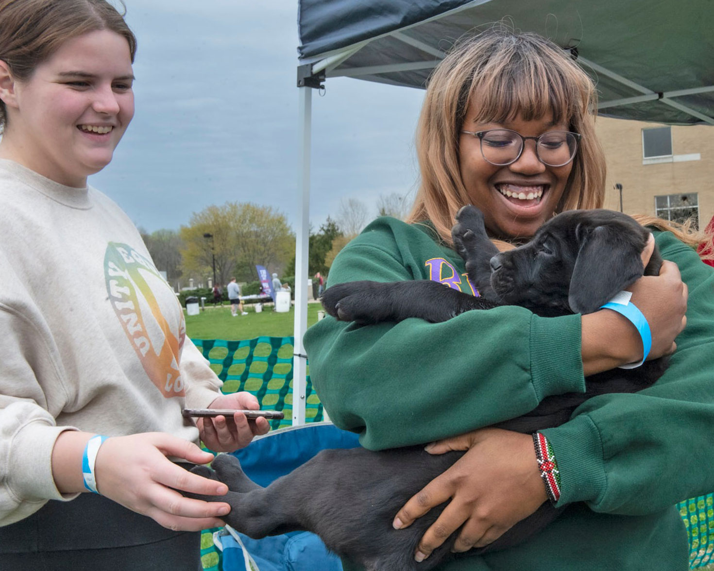 Puppies on the Quad