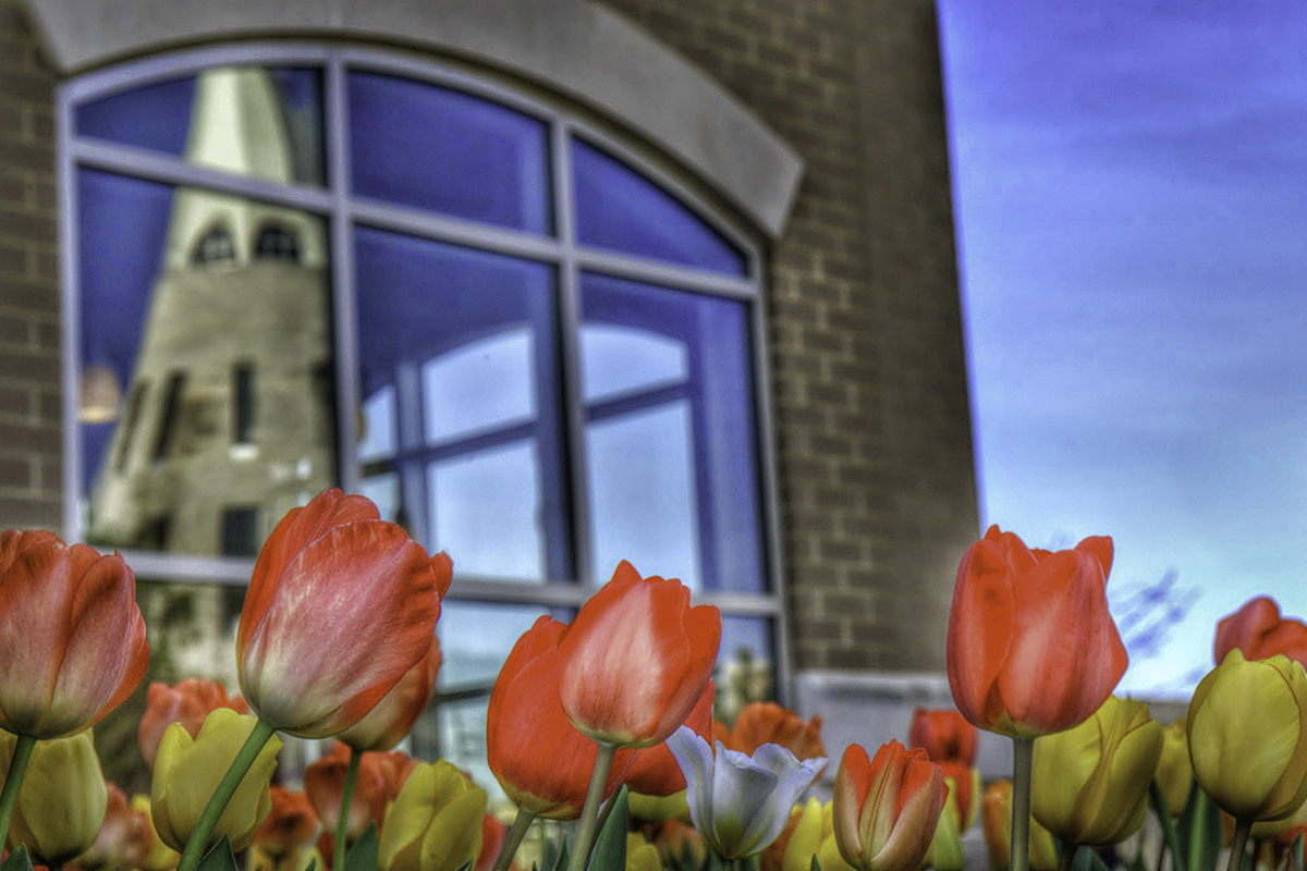 Faculty promotions and tenures announced at Board of Trustees meeting