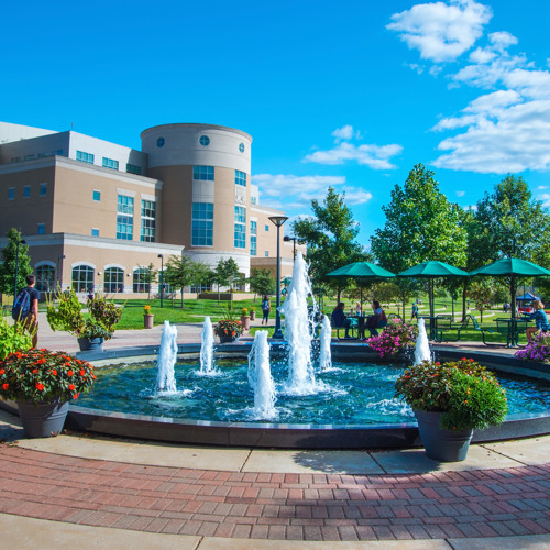 Fountain in front of the Rice Library