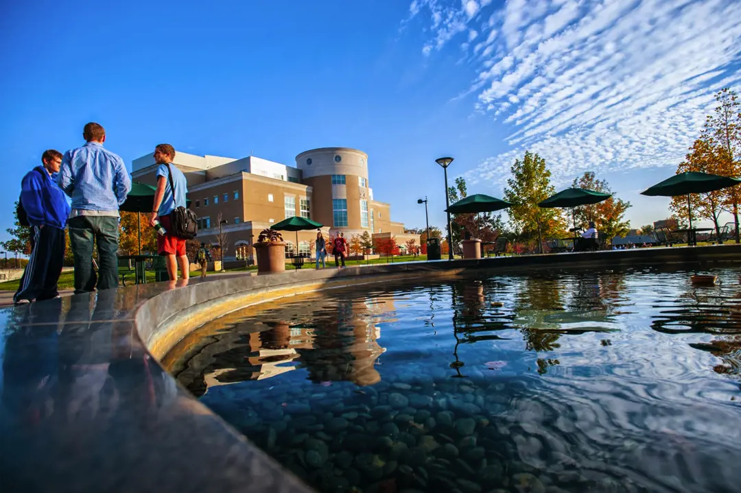 Safety and Wellness Resources