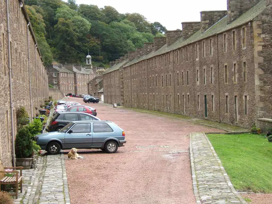 Special Travel Opportunities