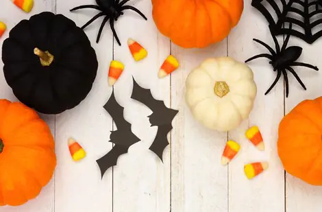Photo of pumpkins, bats, spiders, and candy corn