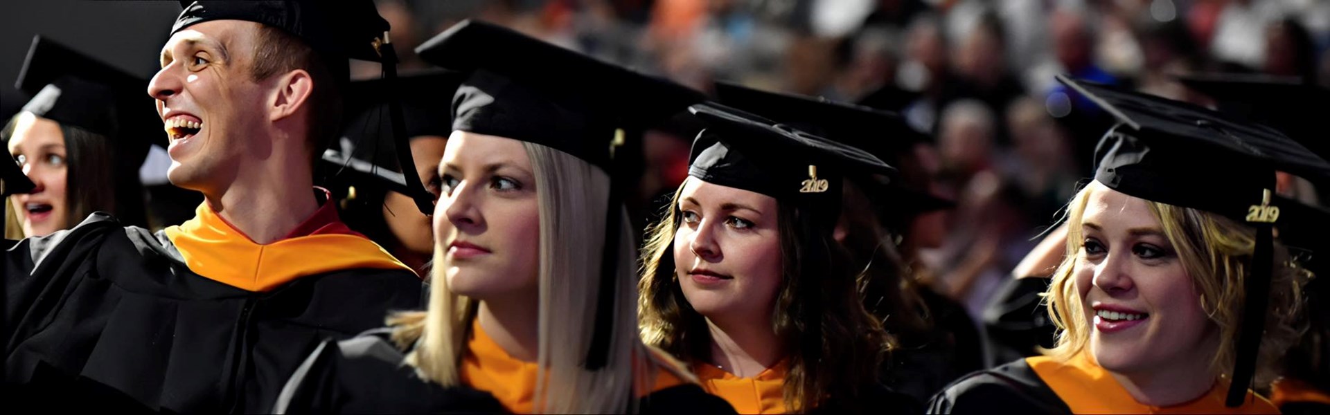 master of science in nursing online programs