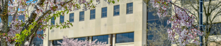 Social Services Designee Certificate - University of Southern Indiana