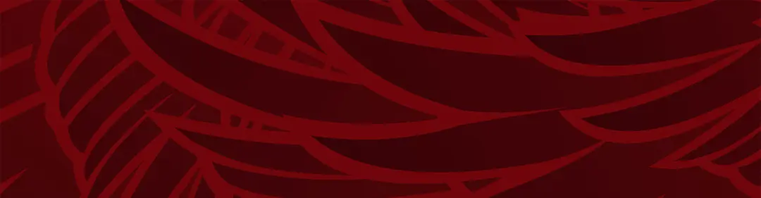 Past Student Recipients