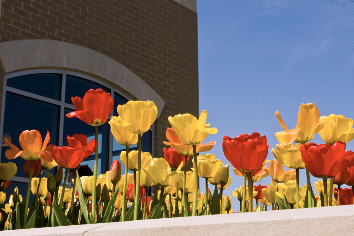 USI recognizes over 1,800 students on Spring Dean’s List 