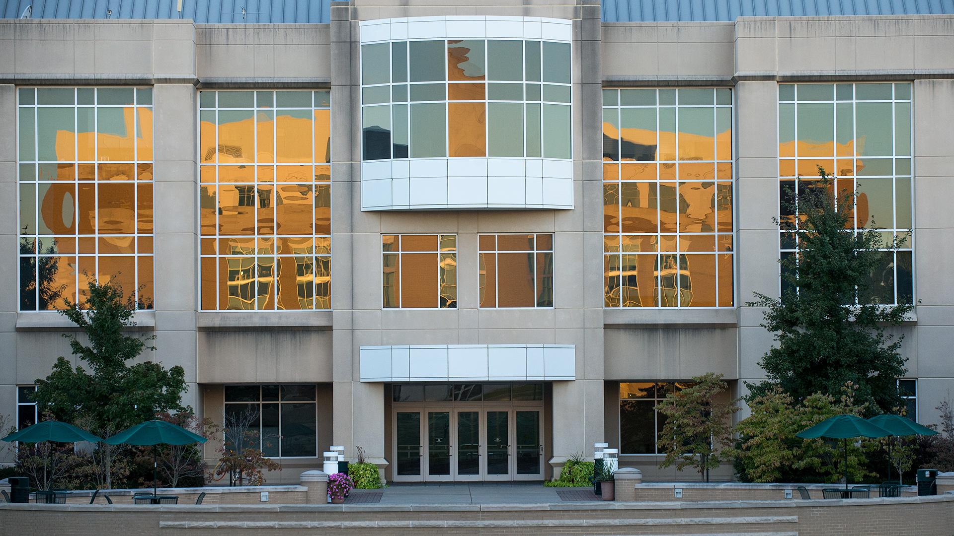 Liberal Arts Background3