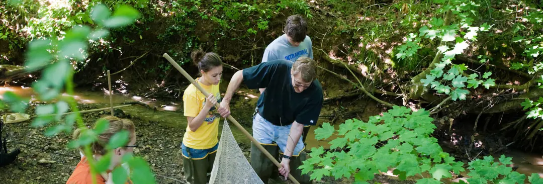 Field and Nature Experiences