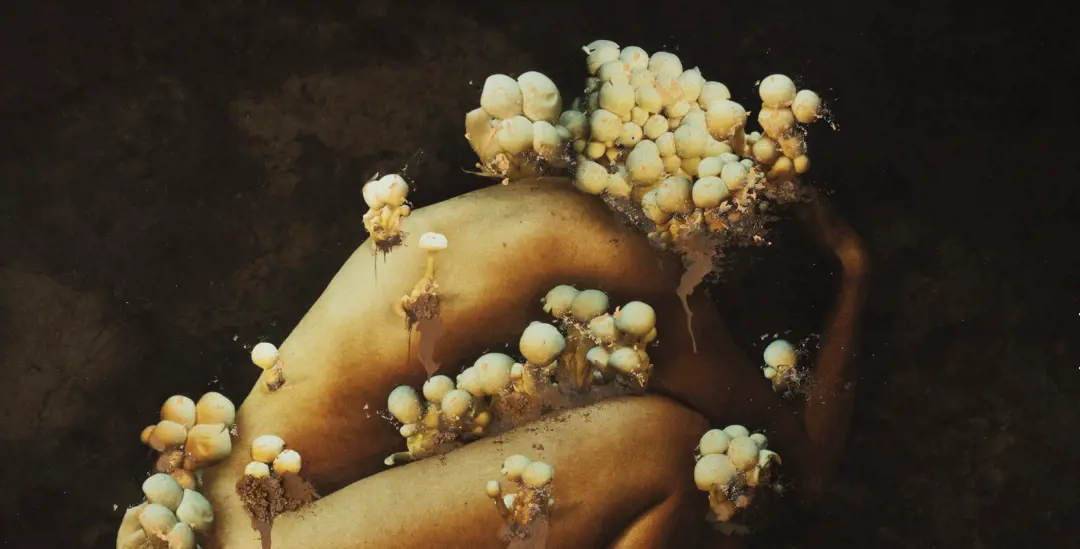 Two Exhibitions: Samsara: Brooke Shaden & Classic & Contemporary: Selections from the Paul Paletti Collection