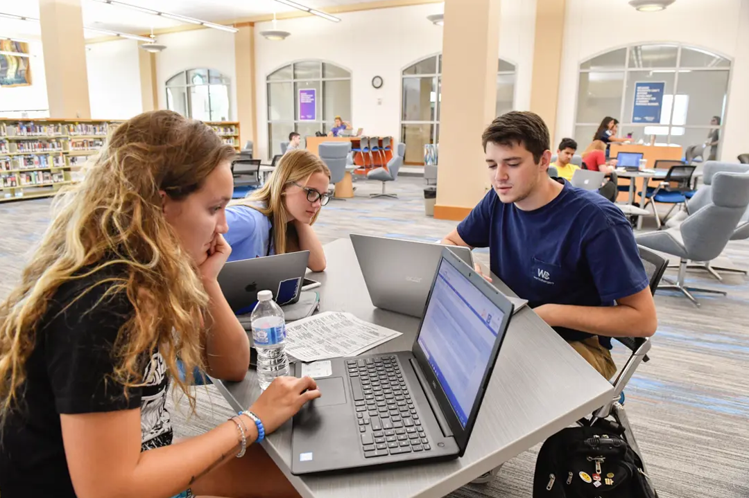 Students studying in Rice Library