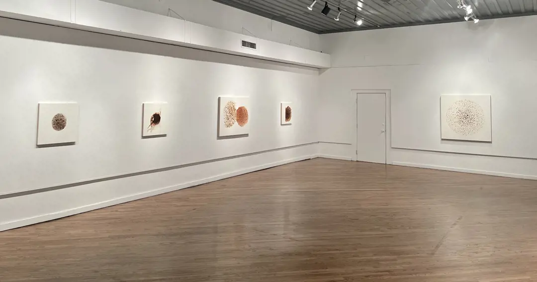 Kellie Romany / Systems | Bodies | Parameters