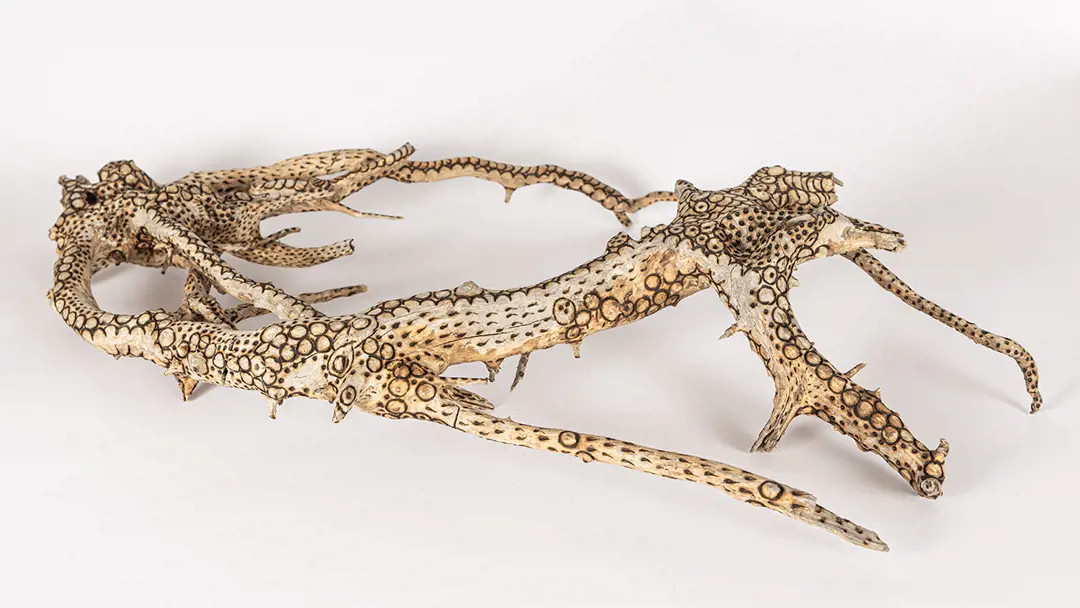 Organic + Tattoo: Sculptures by Debbie Goldman