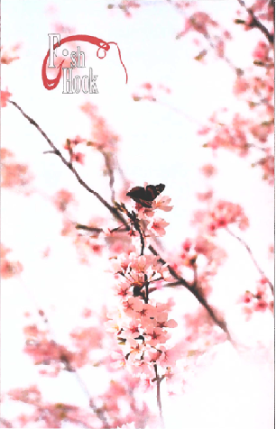 Picture of a butterfly feeding of a cherry blossom