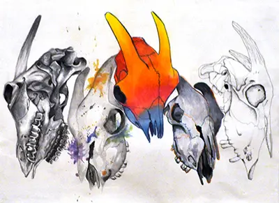 Evolution of a Goat’s Death, Livia Alexander, mixed media, 2017