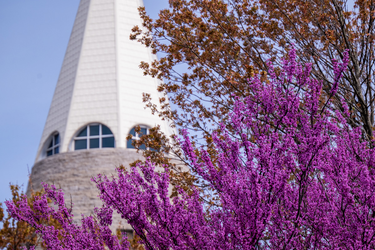 USI Board of Trustees advances academic offerings, approves Spring degree candidates 