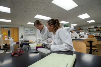 Campus life photo showing student activities and facilities