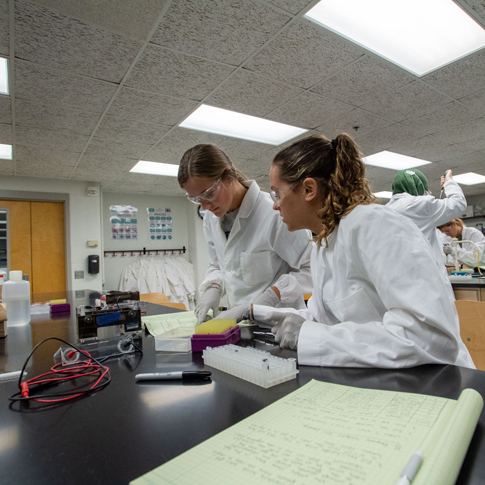 USI students in white coats working in a practice lab