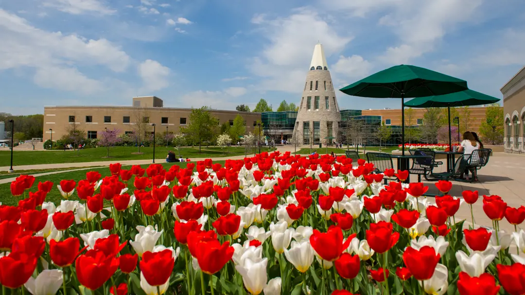 Info for Prospective USI Students