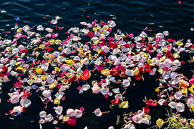 USI to host Flowers on the Lake honoring Domestic Violence Awareness Month 