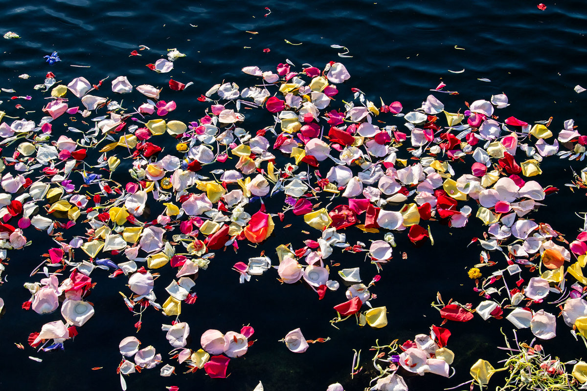 USI to host Flowers on the Lake honoring Domestic Violence Awareness Month 