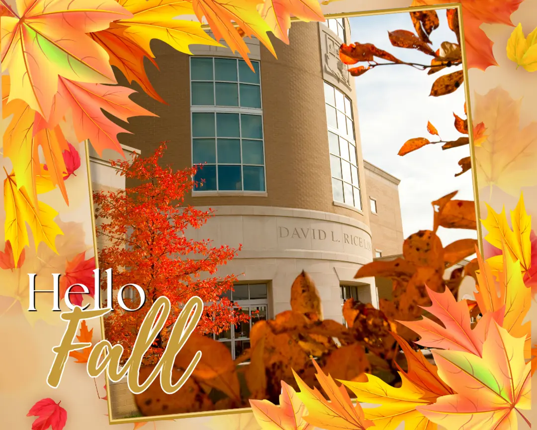 Image of Rice Library with a leaf fall border