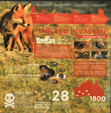Logan Boyd, Fox Invasive Species, information graphics Graphic Design Posters/Informational Graphic Merit Award