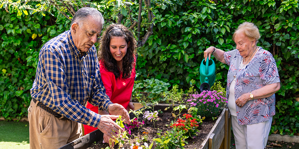 OT helping two older adults tend to a raised garden bed