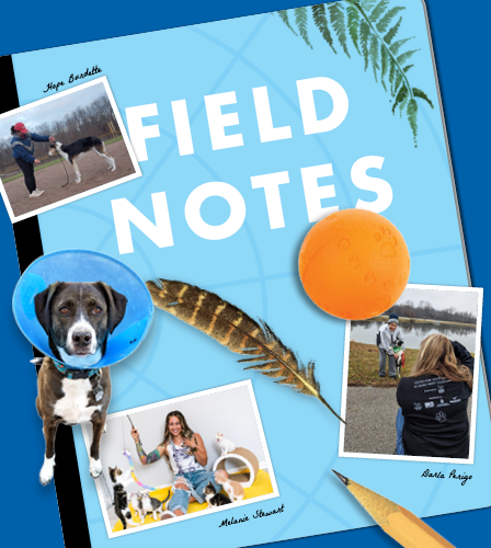 Field Notes